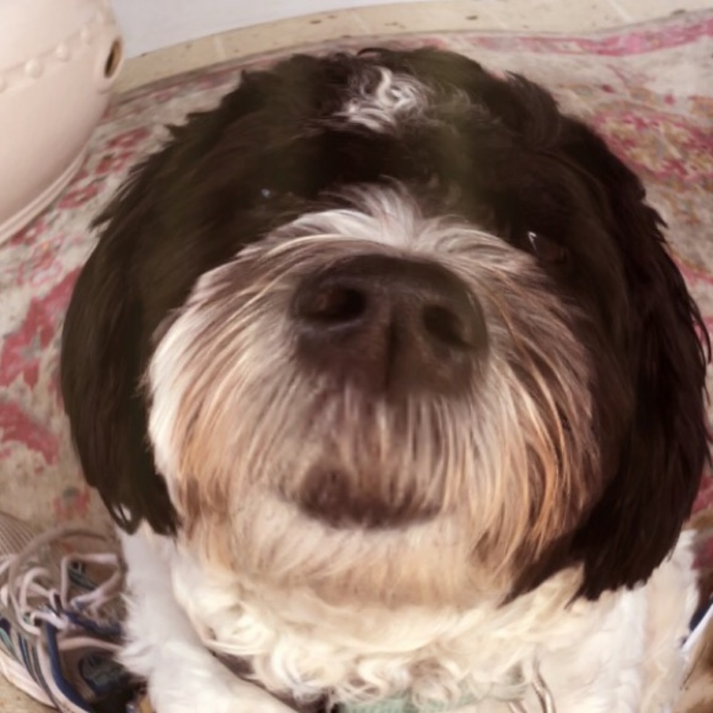 Meet your Posher, Kiri